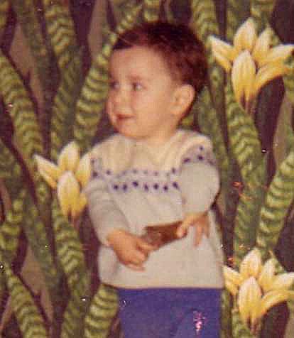 rafael 2.jpg (37248 bytes)